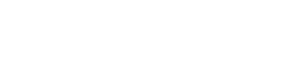RealNet